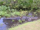 DSCN1310.jpg